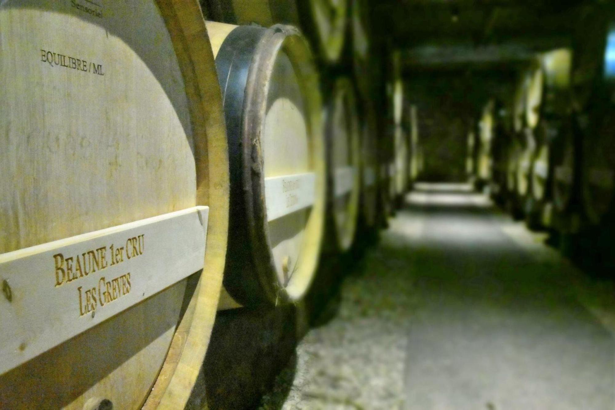 Les Chambres Du Foulot Beaune  Eksteriør billede